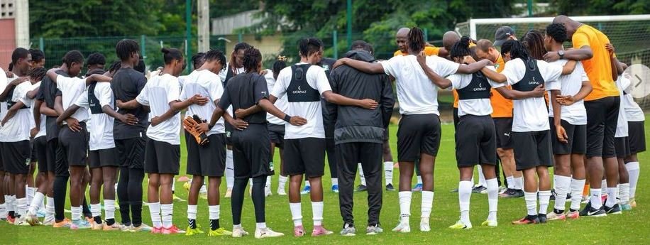 tsf sport-Can feminine -les éléphantes prêtes pour les compétitions