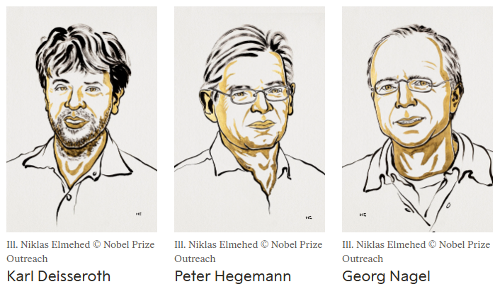 Le prix Nobel de médecine 2026 a été décerné à l'Américain Karl Deisseroth et aux Allemands Peter Hegemann et Georg Nagel,